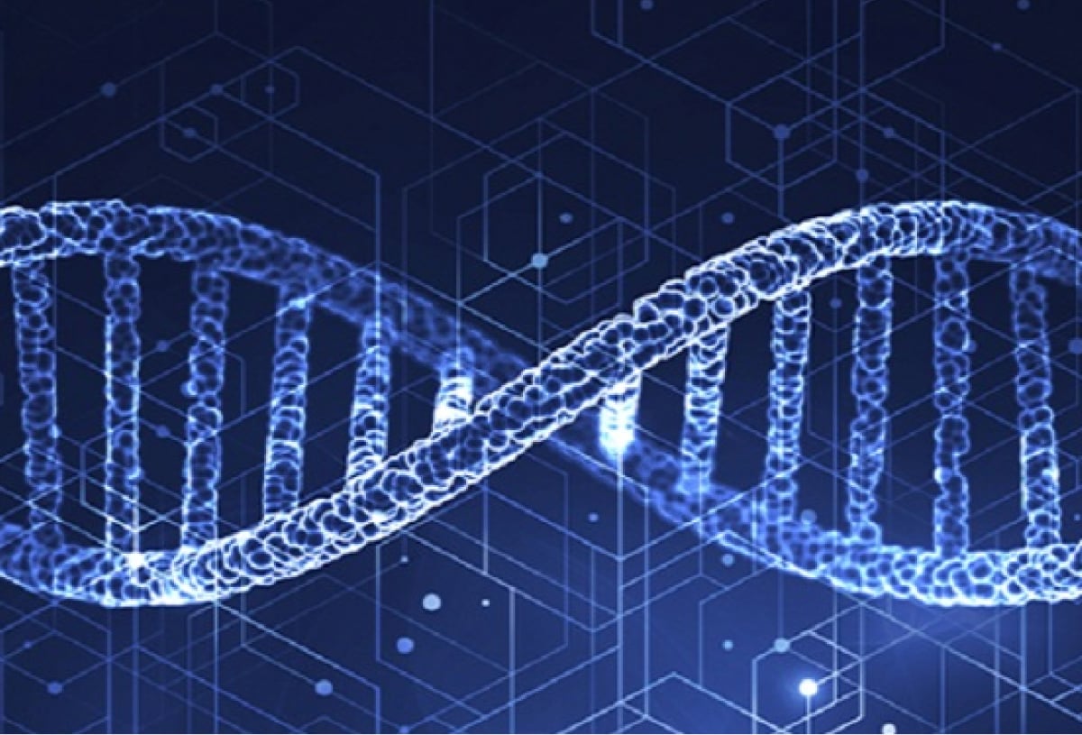 市场-生命科学-英雄 市场-生命科学-英雄